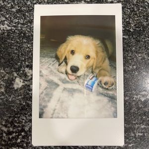 Meet your Posher, Mayra